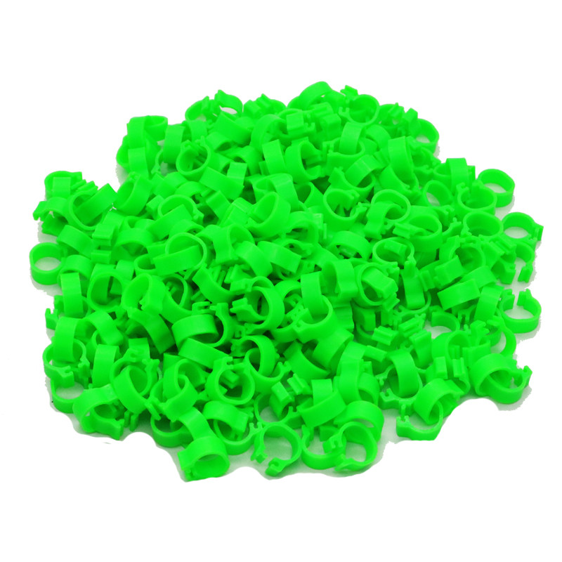 200 gab iekšējais diametrs 8mm putnu pēdas gredzens baloža papagaiļa kāju gredzeni mazo putnu pēdas gredzens putnu saspraudes gredzens 10 krāsas