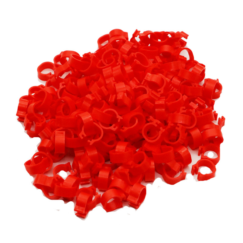 200 gab iekšējais diametrs 8mm putnu pēdas gredzens baloža papagaiļa kāju gredzeni mazo putnu pēdas gredzens putnu saspraudes gredzens 10 krāsas