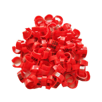 Siseläbimõõt 8 mm tuvijalgade rihmad kodulinnud tuvi lind papagoi klambrid rõngad jalarõngas tuvi tarvikud lindude seadmed 100 tk