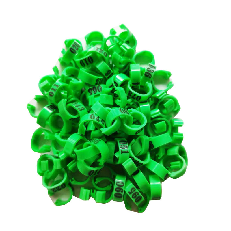 Siseläbimõõt 8 mm tuvijalgade rihmad kodulinnud tuvi lind papagoi klambrid rõngad jalarõngas tuvi tarvikud lindude seadmed 100 tk