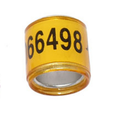 Alat za dresuru ptica 2023 Višebojni golubov prsten s stopalima s naušnicama s riječima. Kvalitetan izdržljivi prsten za ptice Prsten za stopala trkaćih golubova 50 kom.