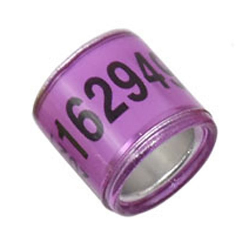 Alat za dresuru ptica 2023 Višebojni golubov prsten s stopalima s naušnicama s riječima. Kvalitetan izdržljivi prsten za ptice Prsten za stopala trkaćih golubova 50 kom.