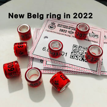 20 τεμ. 2023 BELG Περιστεριών Δαχτυλίδι με Γράμματα Κάρτες Πουλί 8mm