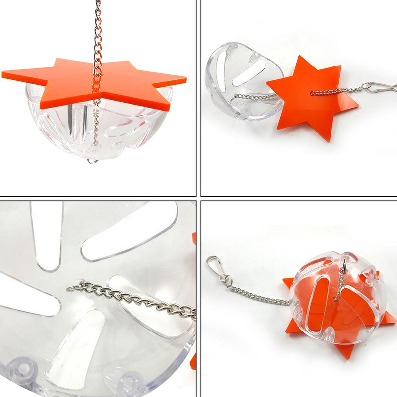 Linnuhammustuse mänguasjad Papagoi rippuv maius toiduotsimismänguasjade söötja akrüülist kuusnurkne täht mitmekihiline linnutoidukarp Linnupuuri tarvikud