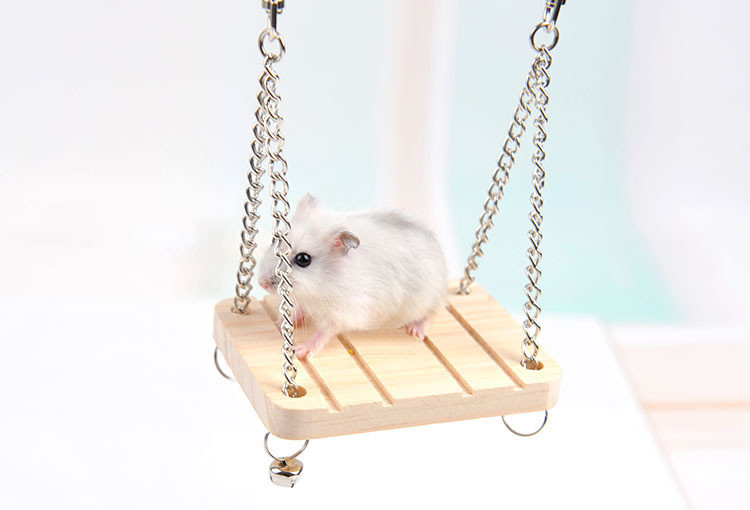 10/12 cm mājsaimniecības mājdzīvnieks, izklaide, skriešanas bumba, plastmasas zeme, vingrošana, koka šūpoles šūpuļtīkls, atpūta, kāmis, mājdzīvnieks, maza sporta rotaļlieta