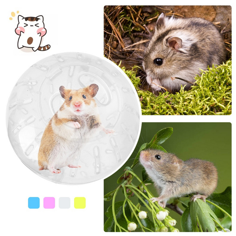 10 cm plastikust välistingimustes kasutatavad spordipallid jahvatusrott Väikesed lemmikloomad närilised Hiired Jooksupallimänguasi Hamster Gerbil Rot Treeningpallid Mänguasjad