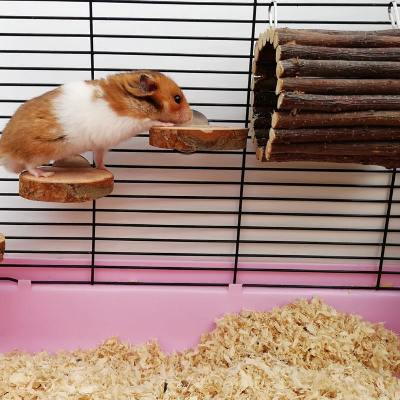 Medinis gyvūno pakabinimo tunelio kablys triušiui šeškui žiurkėnui jūrų kiaulytei mažo augintinio mankštos vamzdelio narvelio priedai