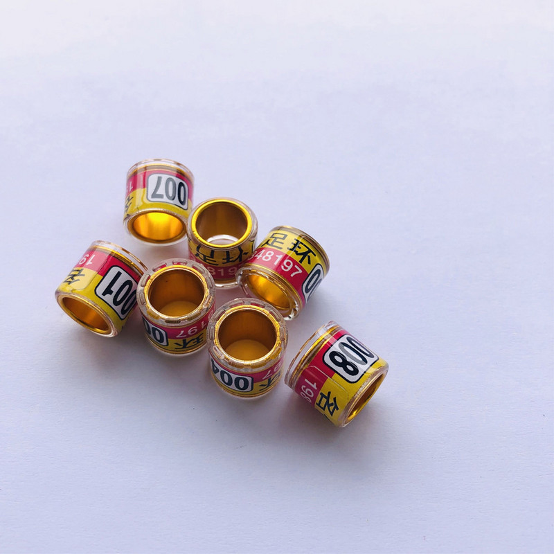 8 mm zelta pielāgotas lentes izstrādājumi no baložu pēdām mājdzīvnieku baložu gredzeni putnu gredzeni baložu lentes