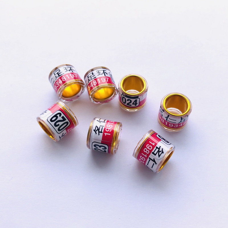 8 mm zelta pielāgotas lentes izstrādājumi no baložu pēdām mājdzīvnieku baložu gredzeni putnu gredzeni baložu lentes