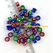 20 tk Alumiiniumsulamist suletud ahelaga linnujalgade rõngad tuvipapagoi kanaarivint säärepaelad värvilised juhuslikud