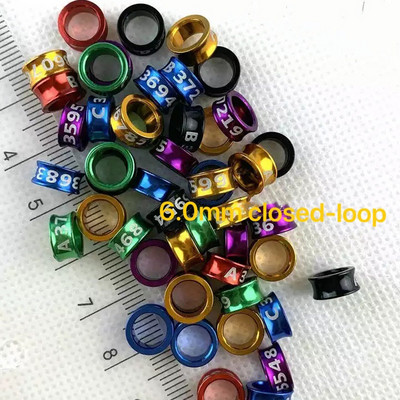 20 tk Alumiiniumsulamist suletud ahelaga linnujalgade rõngad tuvipapagoi kanaarivint säärepaelad värvilised juhuslikud