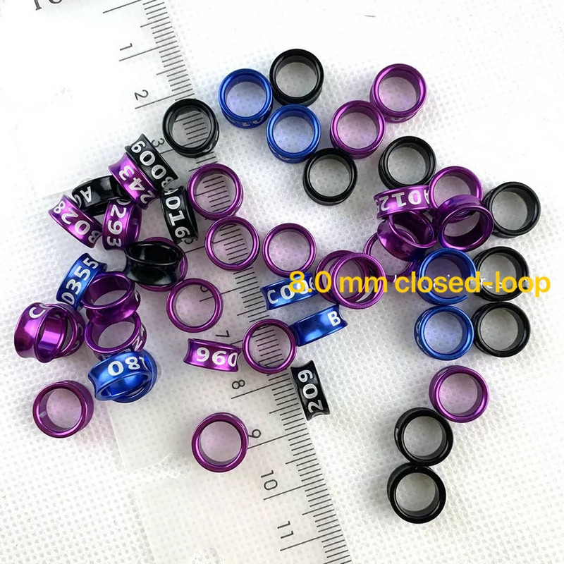 20 tk Alumiiniumsulamist suletud ahelaga linnujalgade rõngad tuvipapagoi kanaarivint säärepaelad värvilised juhuslikud