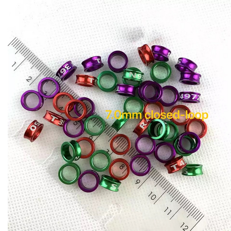 20 tk Alumiiniumsulamist suletud ahelaga linnujalgade rõngad tuvipapagoi kanaarivint säärepaelad värvilised juhuslikud