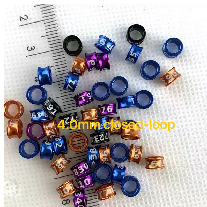 20 tk Alumiiniumsulamist suletud ahelaga linnujalgade rõngad tuvipapagoi kanaarivint säärepaelad värvilised juhuslikud