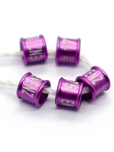 Drop Shipping Inel pentru picior de porumbel fără număr de an Cod de țară Diametru interior 9 mm Înălțime 6 mm 100 buc