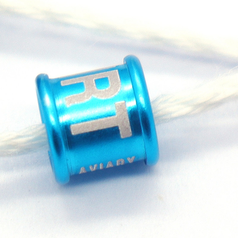 Drop Shipping Inel pentru picior de porumbel fără număr de an Cod de țară Diametru interior 9 mm Înălțime 6 mm 100 buc