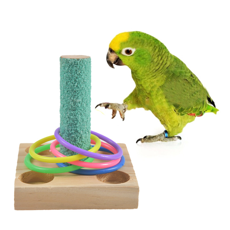 Bird Parrot Εκπαιδευτικά Παιχνίδια Ξύλινη Πλατφόρμα Πλαστικό Ferrule Intellectual Training Παιχνίδια για κατοικίδια μάσημα