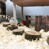 3 τεμάχια/τσάντα Πρακτική πλατφόρμα μόνιμου χάμστερ Φιλική προς το περιβάλλον ευρεία εφαρμογή Μίνι παιχνίδι άλματος πλατφόρμας μικρών ζώων