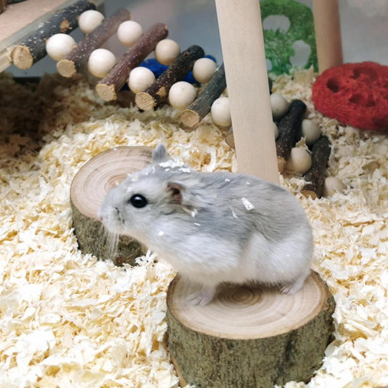 3 τεμάχια/τσάντα Πρακτική πλατφόρμα μόνιμου χάμστερ Φιλική προς το περιβάλλον ευρεία εφαρμογή Μίνι παιχνίδι άλματος πλατφόρμας μικρών ζώων