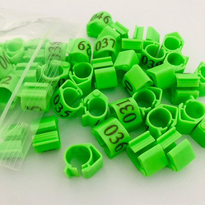 20vnt Pigeon ovalus žiedas Blue Pigeon pėdos žiedas Reguliuojamas Dove klipų žiedas Pigeon priedai