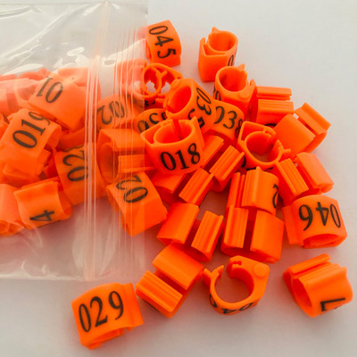 20vnt Pigeon ovalus žiedas Blue Pigeon pėdos žiedas Reguliuojamas Dove klipų žiedas Pigeon priedai