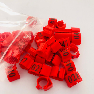 20vnt Pigeon ovalus žiedas Blue Pigeon pėdos žiedas Reguliuojamas Dove klipų žiedas Pigeon priedai