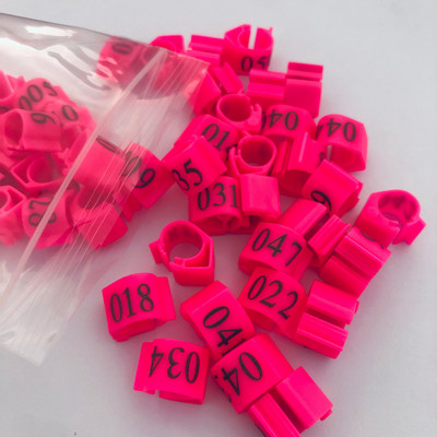 20vnt Pigeon ovalus žiedas Blue Pigeon pėdos žiedas Reguliuojamas Dove klipų žiedas Pigeon priedai