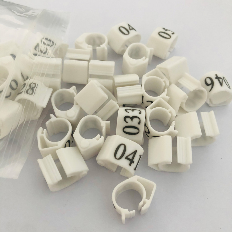 20vnt Pigeon ovalus žiedas Blue Pigeon pėdos žiedas Reguliuojamas Dove klipų žiedas Pigeon priedai