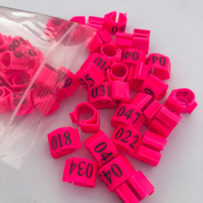 20vnt Pigeon ovalus žiedas Blue Pigeon pėdos žiedas Reguliuojamas Dove klipų žiedas Pigeon priedai