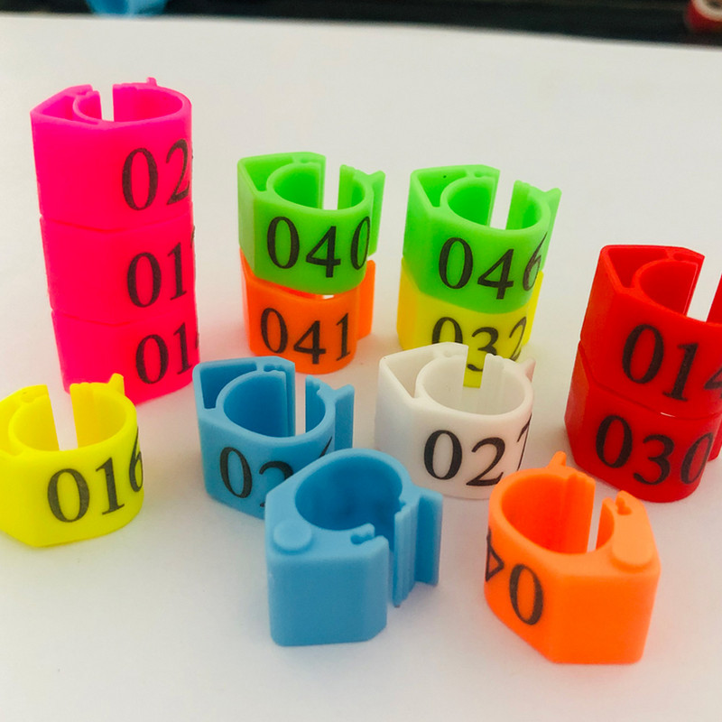 20vnt Pigeon ovalus žiedas Blue Pigeon pėdos žiedas Reguliuojamas Dove klipų žiedas Pigeon priedai