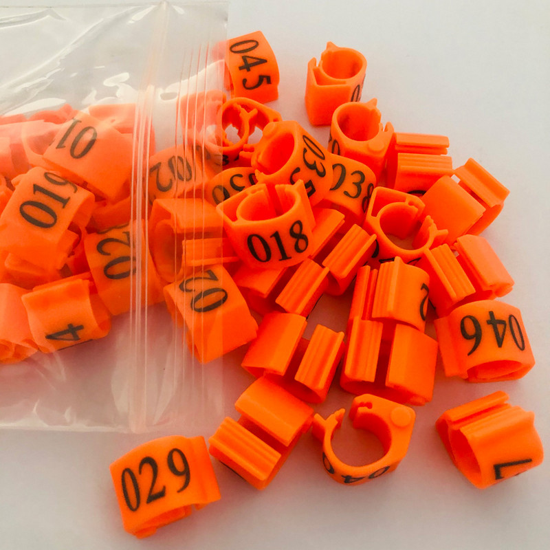 20vnt Pigeon ovalus žiedas Blue Pigeon pėdos žiedas Reguliuojamas Dove klipų žiedas Pigeon priedai