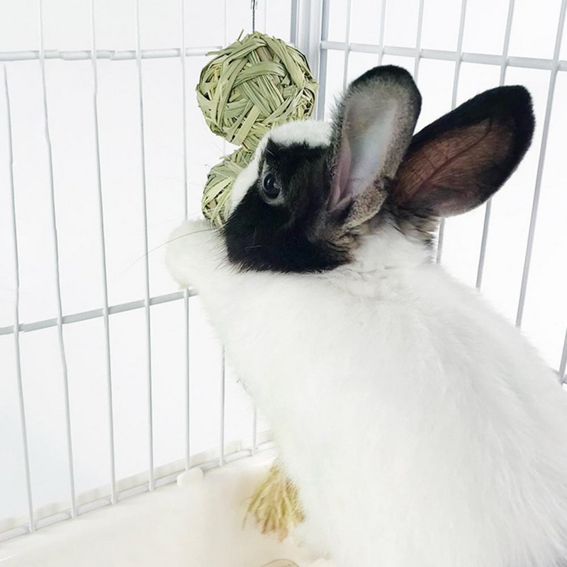 Jucărie de mestecat pentru iepure ecologică Jucărie creativă pentru hamsteri nutritiv ușurează plictiseala iepure iarbă gustare jucărie pentru animale mici