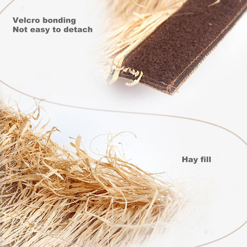 Lemmikjänese peidus mänguasi Hamstri torud Tunnel Tuhkur Rotid Hamstri tšintšiljade puuritarvikud merisea majakese hamstri voodid