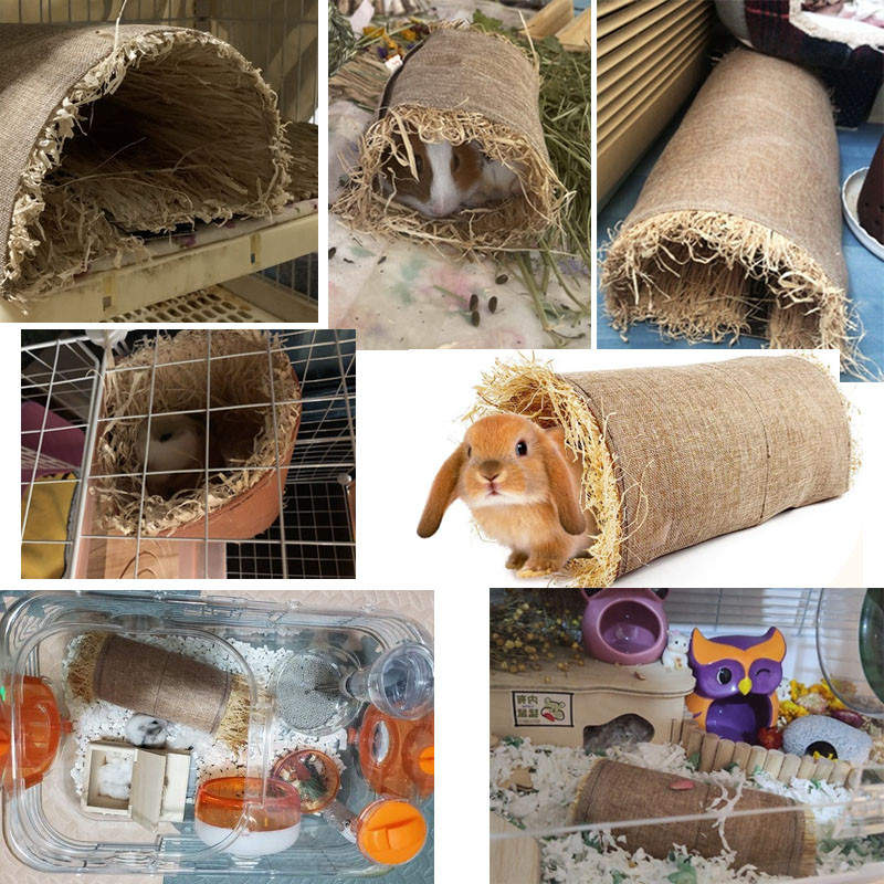 Lemmikjänese peidus mänguasi Hamstri torud Tunnel Tuhkur Rotid Hamstri tšintšiljade puuritarvikud merisea majakese hamstri voodid