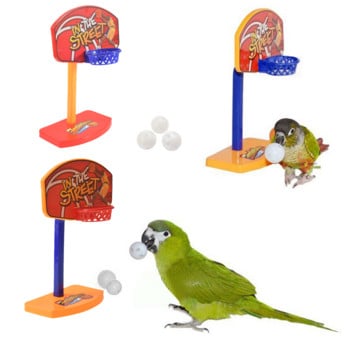 1PC Parrot Puzzle Training Intellectual Development Toy Mini Basketball Hoop 3 Pieces Kring Ball Pet Parrot Pet Supplies