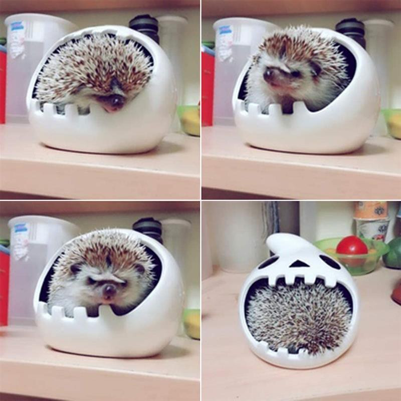 Summer Hamster House Ceramic Guinea Pig Χάμστερ Σπίτι για κατοικίδια Κρεβάτι για κατοικίδια Μικρή φωλιά ζώων για τρωκτικό σκαντζόχοιρος αρουραίος ινδικό χοιρίδιο τσιντσιλά