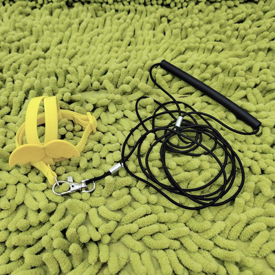 Papagaiļa putnu lidojoša vilces virve Regulējama īpaši viegla siksna ar ērtu rokturi