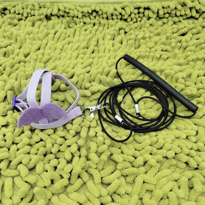 Papagaiļa putnu lidojoša vilces virve Regulējama īpaši viegla siksna ar ērtu rokturi