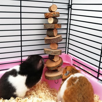 Pet Chew Παιχνίδι Apple Houten Material Tand Slijpen Speelgoed Voor Hamster Chinchilla Konijn Kleine Dieren Huisdier Kooi Hanger