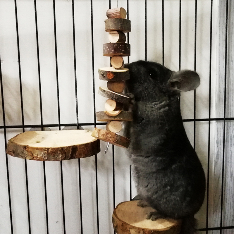 Jucărie de mestecat pentru animale de companie Apple Houten Material Tand Slijpen Speelgoed Voor Hamster Chinchilla Konijn Kleine Dieren Huisdier Kooi Hanger