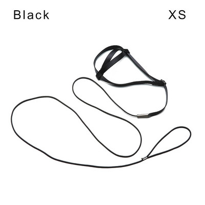 Apmācība lidojoša vilces virve pret sakodienu Apmācības virve putnu pavada Papagaiļa lidojošā virve Papagaiļa zirglieta Putnu iejūga pavada