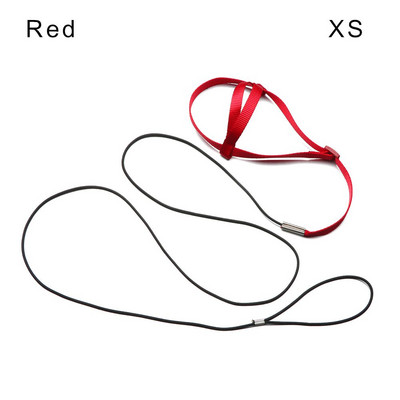 Apmācība lidojoša vilces virve pret sakodienu Apmācības virve putnu pavada Papagaiļa lidojošā virve Papagaiļa zirglieta Putnu iejūga pavada