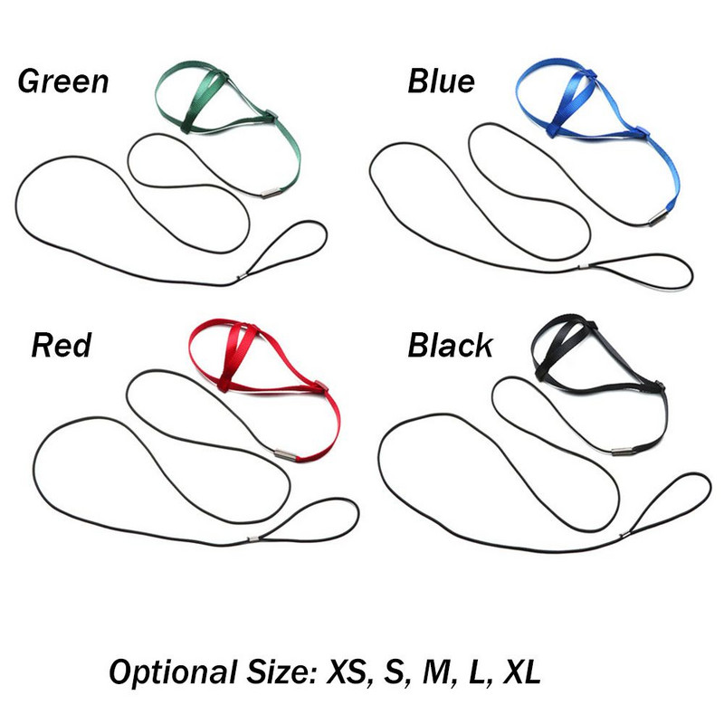 Apmācība lidojoša vilces virve pret sakodienu Apmācības virve putnu pavada Papagaiļa lidojošā virve Papagaiļa zirglieta Putnu iejūga pavada