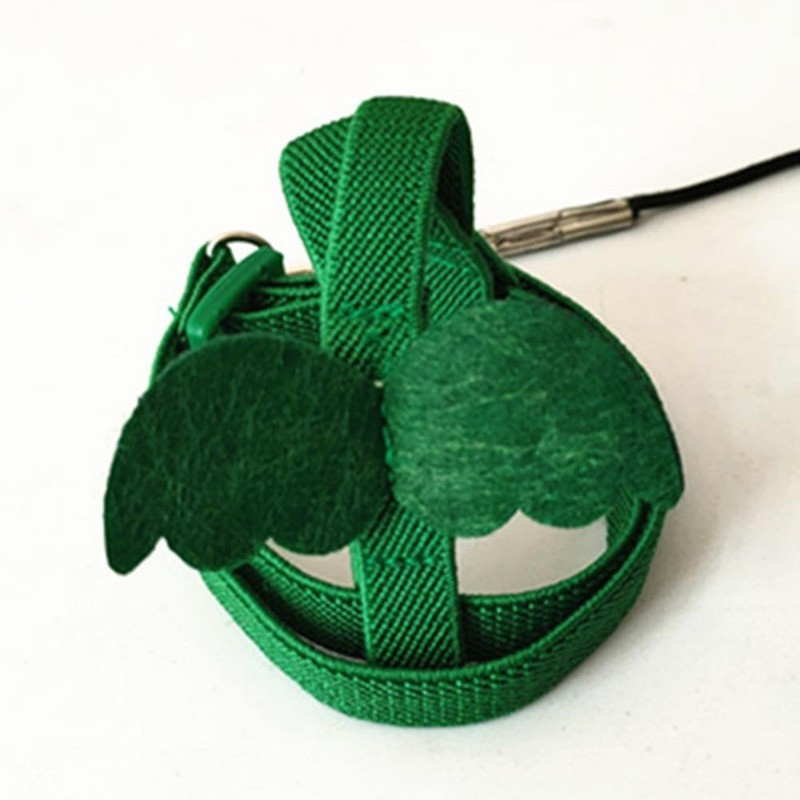 Gara kabeļa siksna putnu siksniņai pret sakodienu treniņu virve Dekoratīva viegla papagaiļa veste virve putnu papagaiļa pavadai