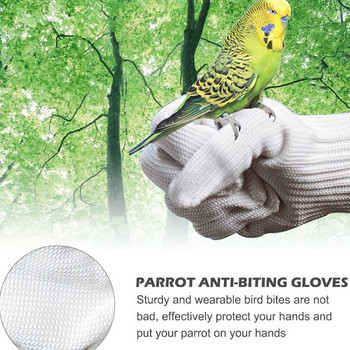 2 бр./чифт Ръкавици за папагал против ухапване Телени ръкавици за улавяне на птици за летене Телени ръкавици Защита на ръцете Консумативи за обучение на птици