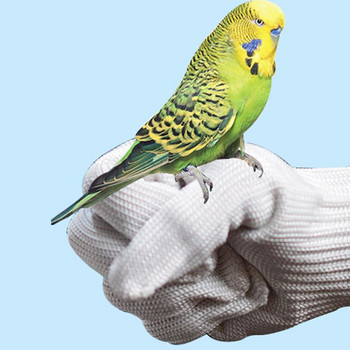 2 τεμάχια/ζεύγος Parrot Anti-bite Gloves Catching Bird Flying Training Wire Gloves Protect Hands Bird Training Supplies