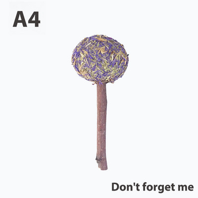 Smulkūs gyvūnai Dantų priežiūra Graužikai Triušiai Natūralus naminis gyvūnėlis Krūminis stygas Pakabinamas Kramtomas kramtomas žaislas Mokymas Ekologiškas