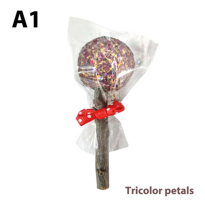 Smulkūs gyvūnai Dantų priežiūra Graužikai Triušiai Natūralus naminis gyvūnėlis Krūminis stygas Pakabinamas Kramtomas kramtomas žaislas Mokymas Ekologiškas