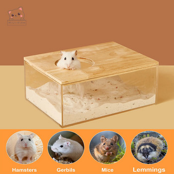 Ακρυλικό μπάνιο με χάμστερ με κάλυμμα Sandbox Πλήρης διαφανής λεκάνη ούρων Golden Bear Supplies Sand Bath