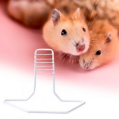 Praktiline jooksumänguasjade riiul Loominguline sporditreening Smooth Hamsteri tarvikud Jooksuratta tugiklamber